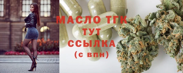 прущая мука Вяземский